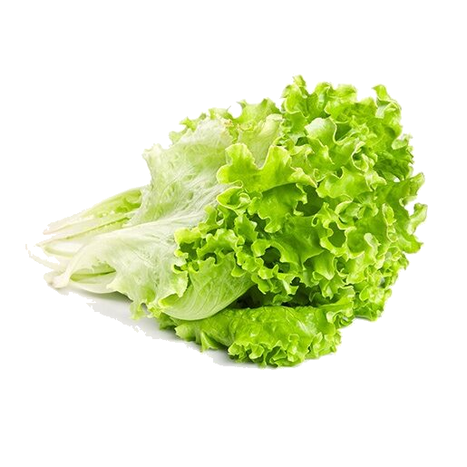 Салат листовой